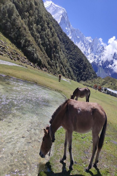 Langtang Region