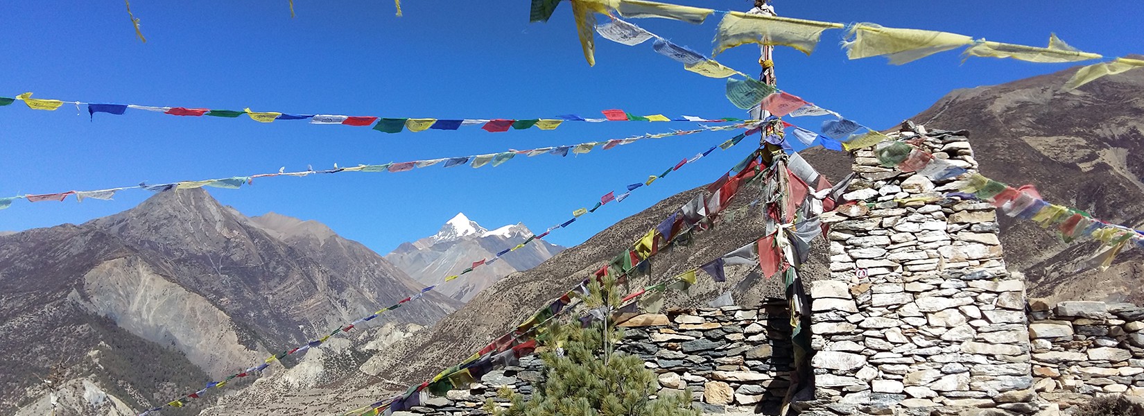 Annapurna Circuit Trek