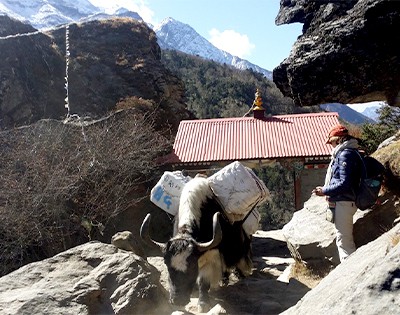 Classice Everest Trek