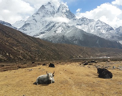 Gokyo Valley Everest Base Camp Trek