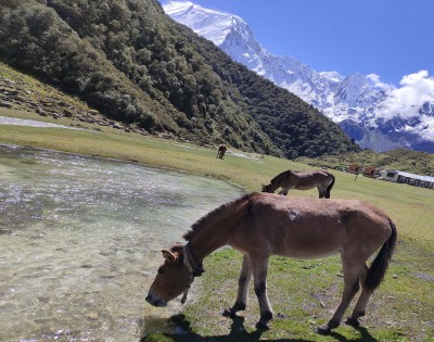 Manaslu Tsum Valley Trek