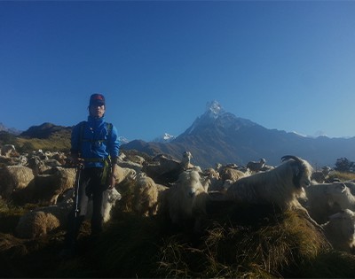 Mardi Himal Trek